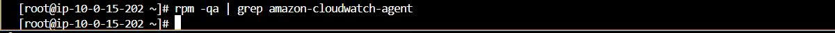 Case 1 - CloudWatch Agent Not Installed