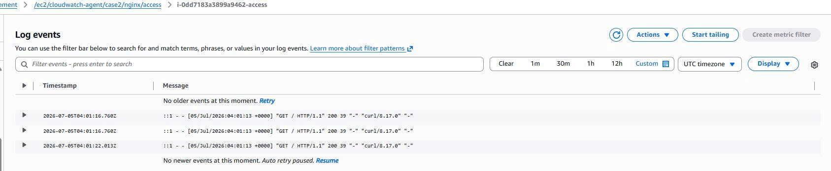 Case 2 - Nginx Access Log Events